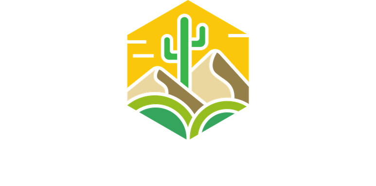 AZ Valley Web Designs — hexagon desert logo with A and Z